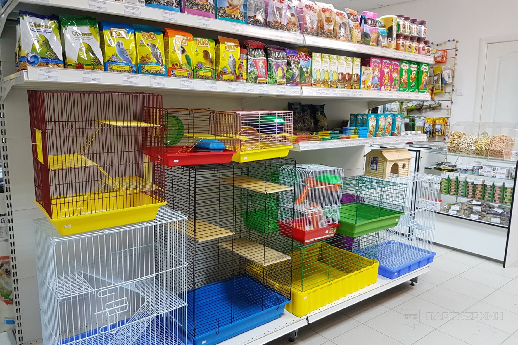 Зоомагазины: Где Забота и Радость Встречаются с Хвостатыми Друзьями