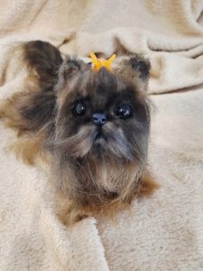 Реалистичные плюшевые игрушки: сочетание искусства и тепла